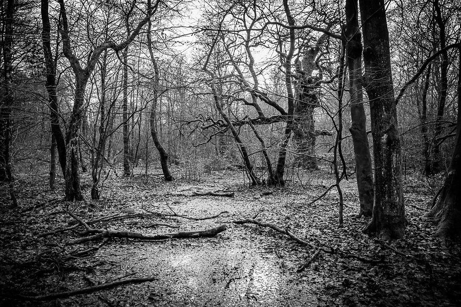 20121228_4794.jpg