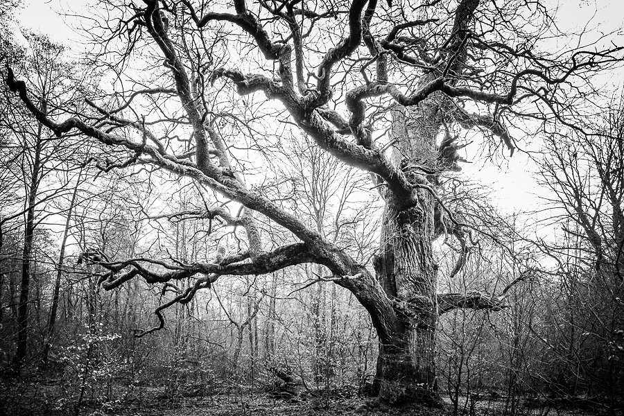 20121228_4806.jpg