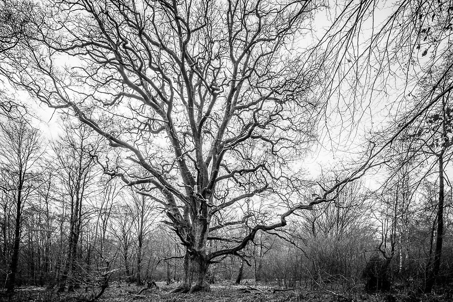 20121228_4817.jpg